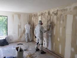 Best Real Estate Mold Inspection  in Wilkesboro, NC